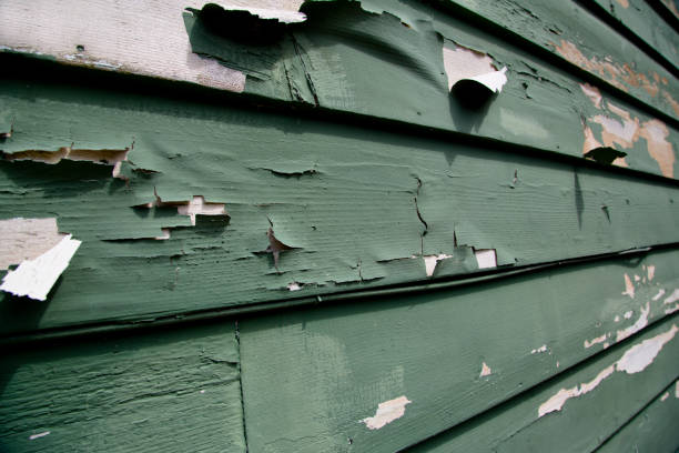 Best Shed Removal  in Mayfield, KY