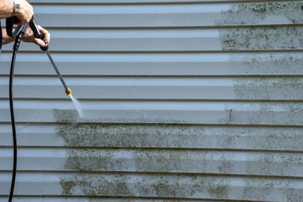 Reliable Mayfield, KY Junk Removal Solutions