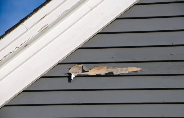  Mayfield, KY Junk Removal Pros